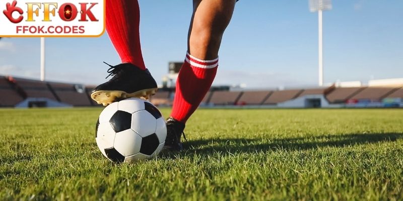 Kèo Handicap FFOK – Kèo Dễ Chơi, Bùng Nổ Phần Thưởng 3 Bí kíp đọc kèo chuẩn, tăng cơ hội thắng nhanh